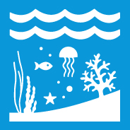 14.5 CONSERVE COASTAL AND MARINE AREAS 