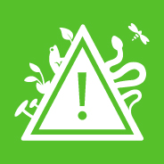 15.8 PREVENT INVASIVE ALIEN SPECIES ON LAND AND IN WATER ECOSYSTEMS