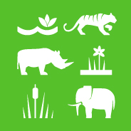 15.c COMBAT GLOBAL POACHING AND TRAFFICKING