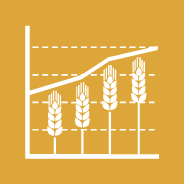 2.c ENSURE STABLE FOOD COMMODITY MARKETS AND TIMELY ACCESS TO INFORMATION