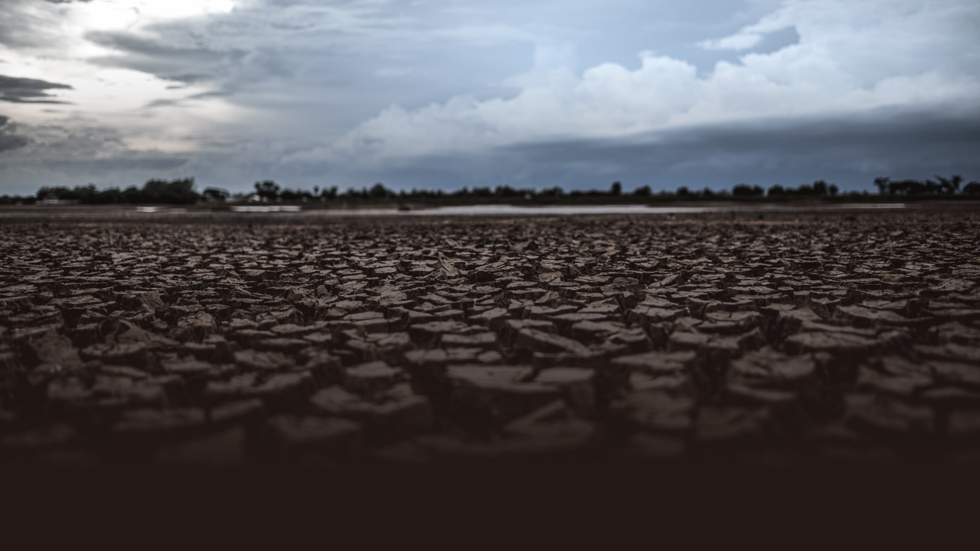 気候安全保障に関する特集ページ