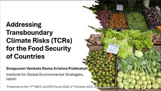 Transboundary climate risks and food security